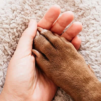 End-of-Life Care End-of-Life Services