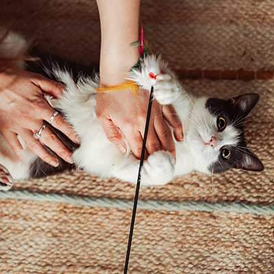 New Client Form (Online)