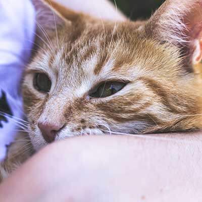 Coupons & Promotions