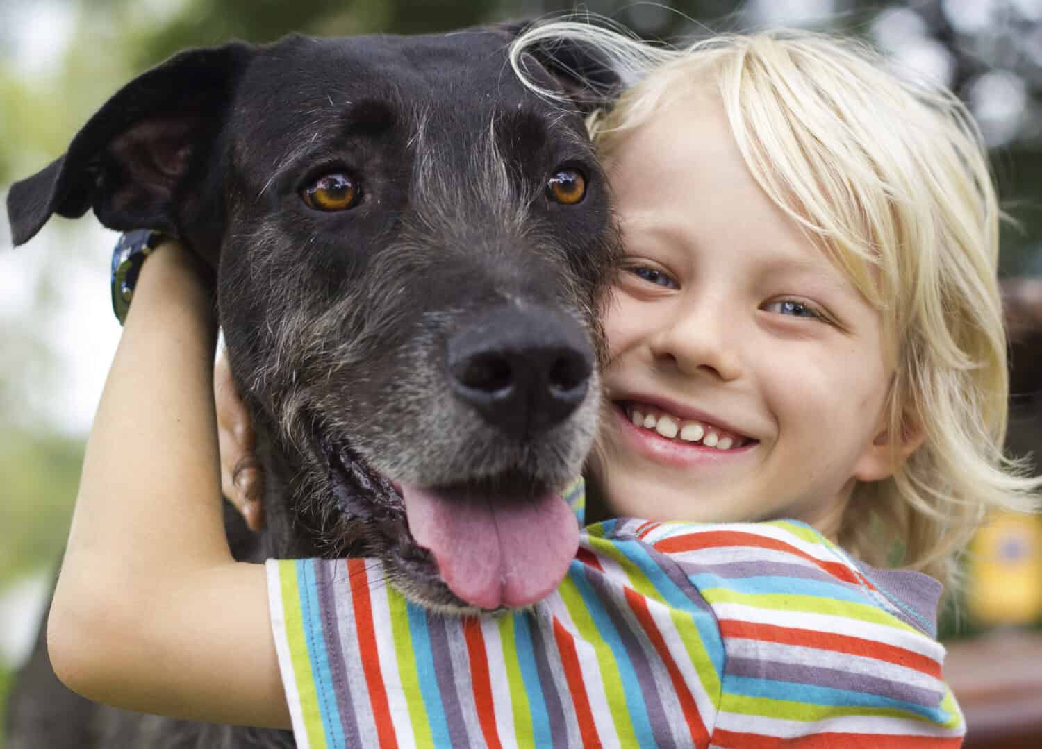 Summer Ideas For Kids Who Love Working With Animals