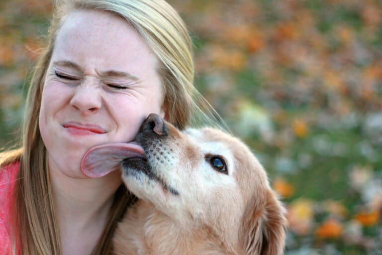 Rocklin, CA Veterinary Blog Why Do Dogs Like to Lick?