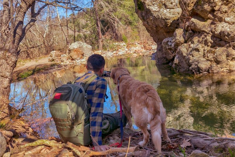 A hiker and their dog