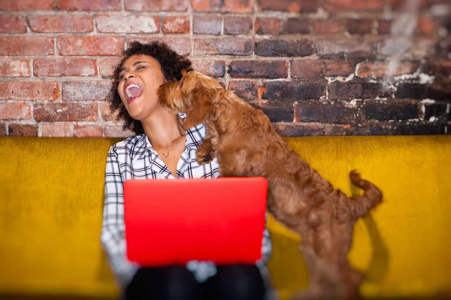 Raising a Puppy in an Apartment Puppy 101 Rocklin Ranch Veterinary