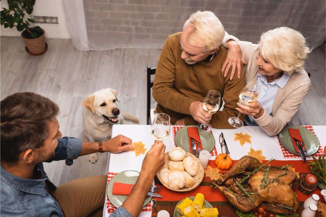 Thanksgiving Pet Safety Tips.
