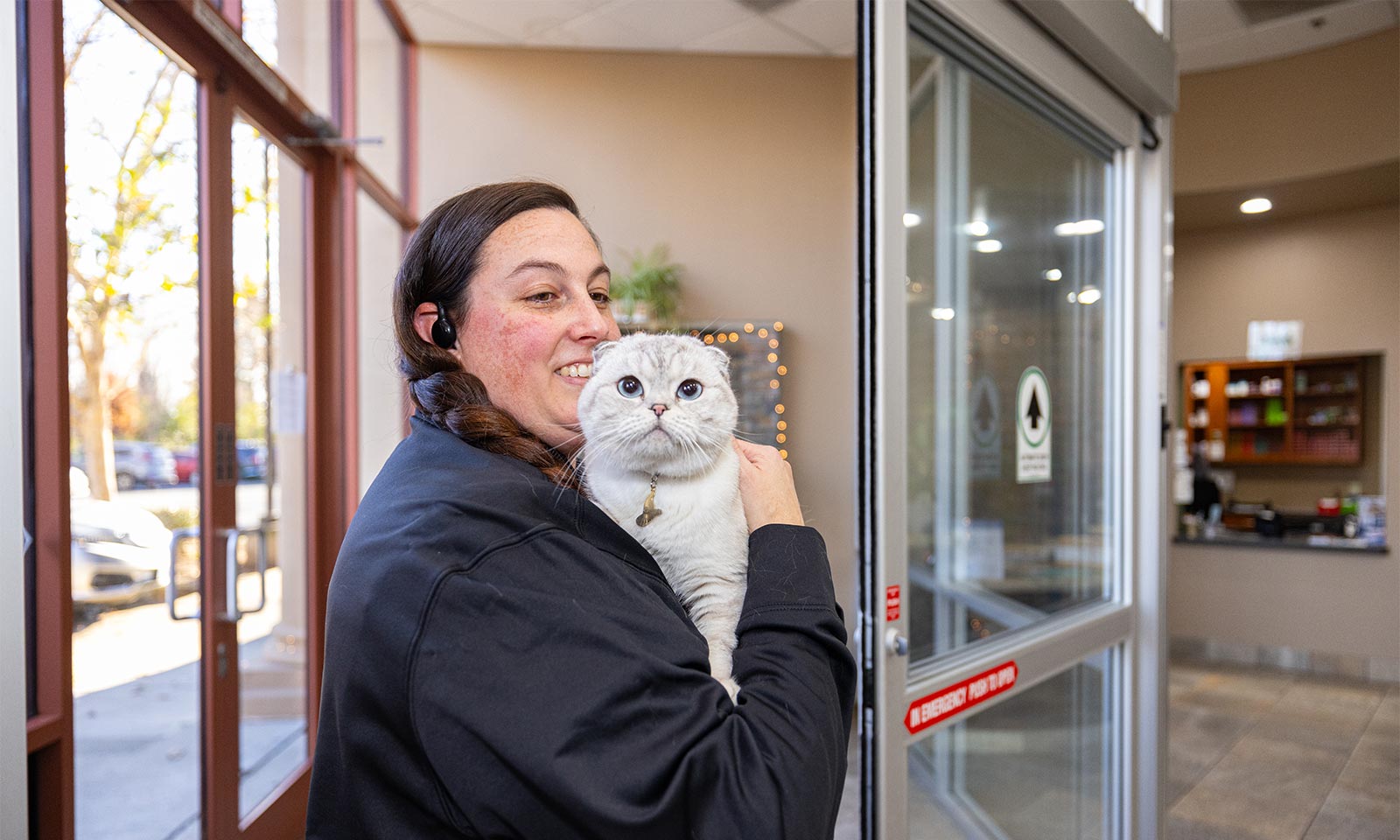 A white cat being brought in