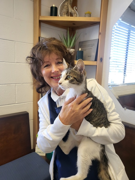 Sandy , CSR Sandy , CSR