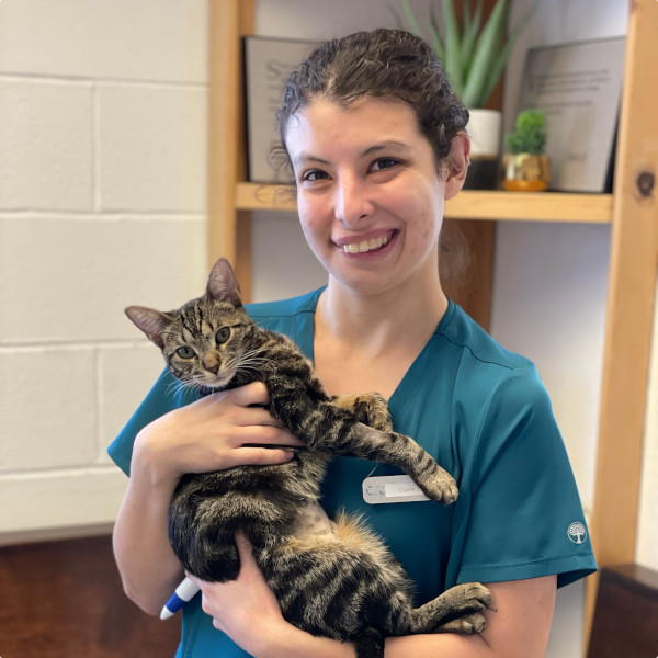 Claire , Veterinary Assistant 